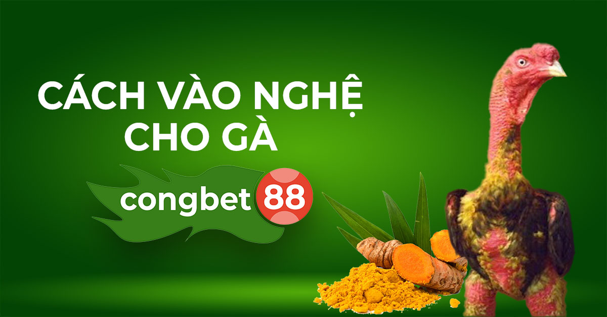 Cách Vào Nghệ Cho Gà