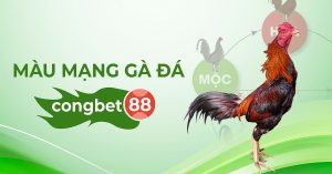 màu mạng gà đá