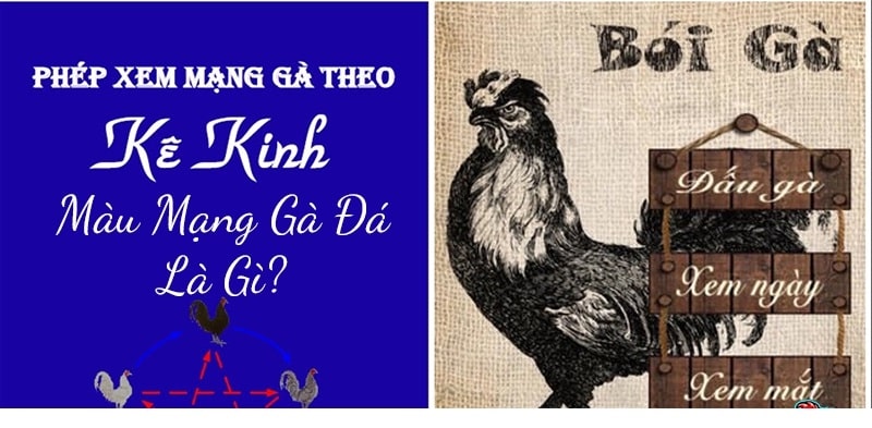 Hai cuốn sách coi màu mạng gà đá chính xác nhất