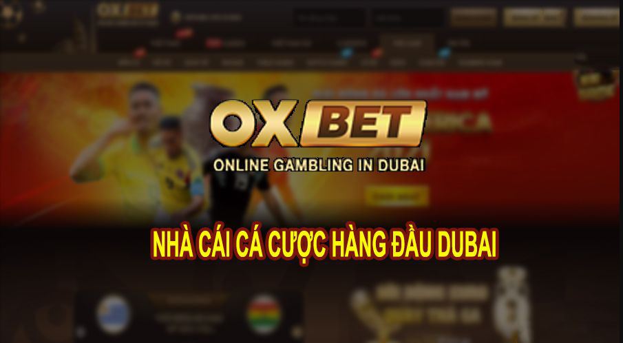 Oxbet - Sân chơi uy tín, chuyên nghiệp đã được khẳng định suốt nhiều năm